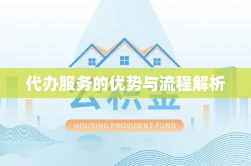 南涧代办服务的优势与流程解析