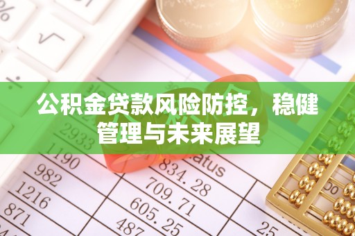 南涧公积金贷款风险防控，稳健管理与未来展望