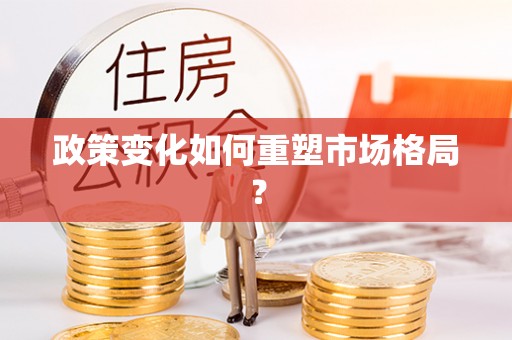 南涧政策变化如何重塑市场格局？
