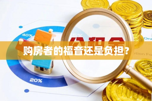 南涧购房者的福音还是负担？