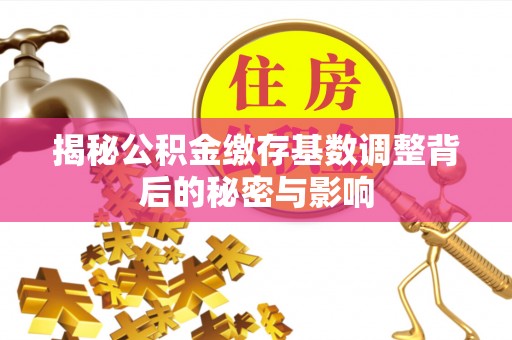 南涧揭秘公积金缴存基数调整背后的秘密与影响