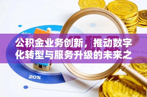 南涧公积金业务创新，推动数字化转型与服务升级的未来之路