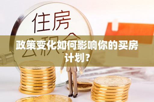 南涧政策变化如何影响你的买房计划？