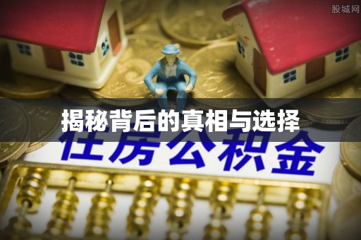 南涧揭秘背后的真相与选择