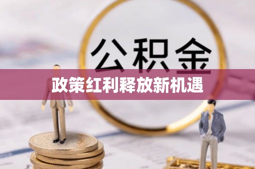 南涧政策红利释放新机遇