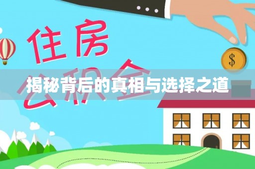 南涧揭秘背后的真相与选择之道