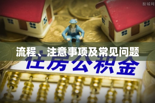 南涧流程、注意事项及常见问题