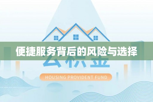 南涧便捷服务背后的风险与选择