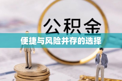 南涧便捷与风险并存的选择
