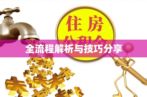 南涧全流程解析与技巧分享