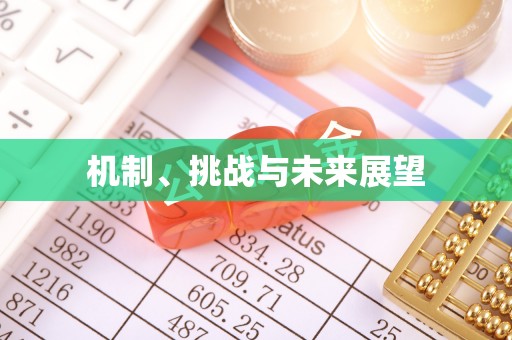 南涧机制、挑战与未来展望
