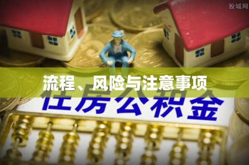 南涧流程、风险与注意事项